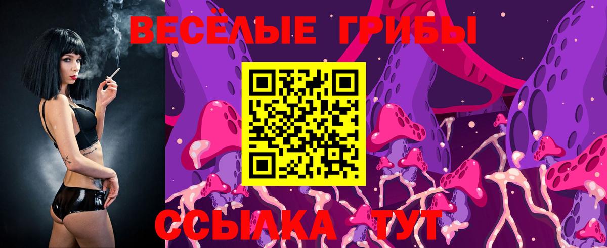 Белорецк  Псилоцибиновые грибы Psilocybe  Вход с VPN 