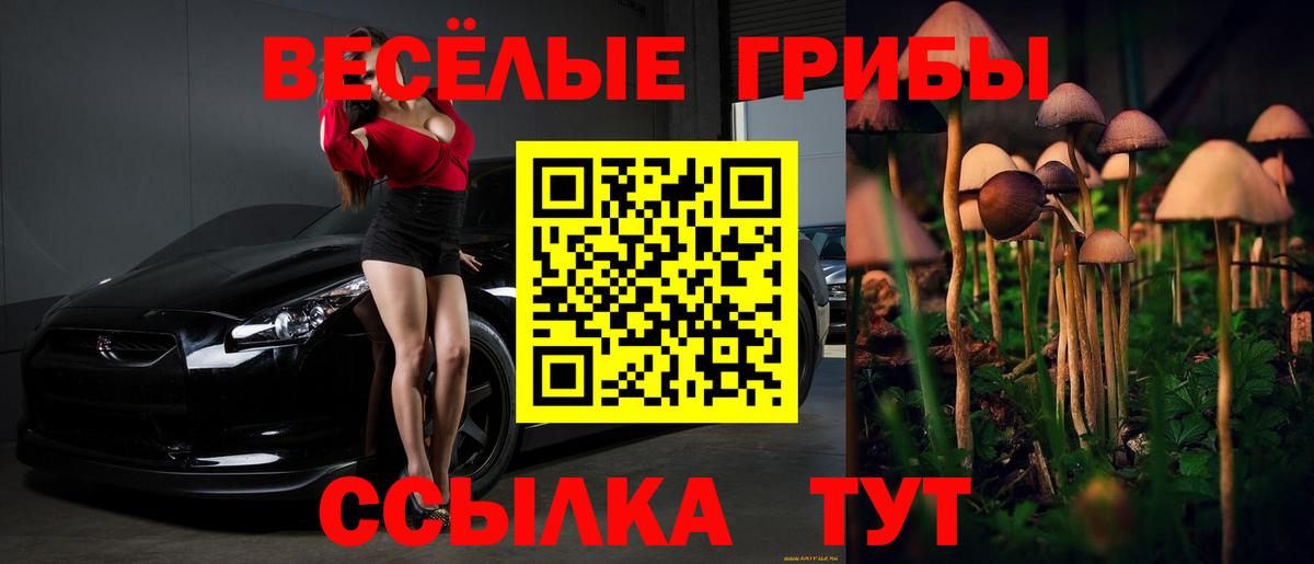 Псилоцибиновые грибы Cubensis Белорецк